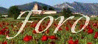 �ndice del Foro www.bustodebureba.com